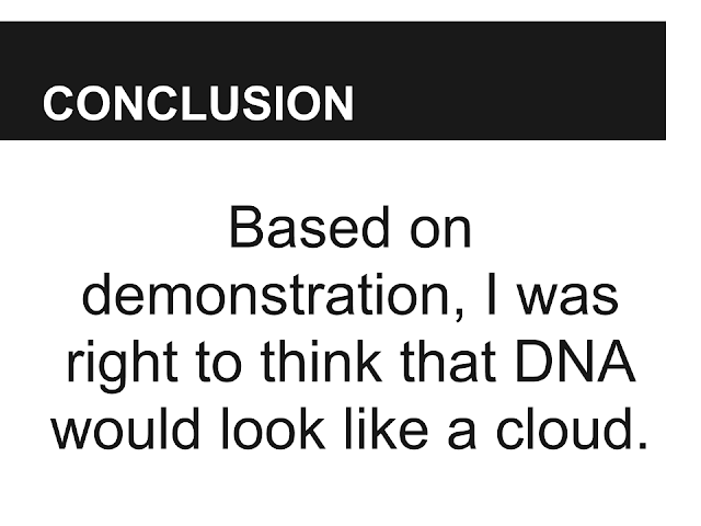 Alexander's Conclusion