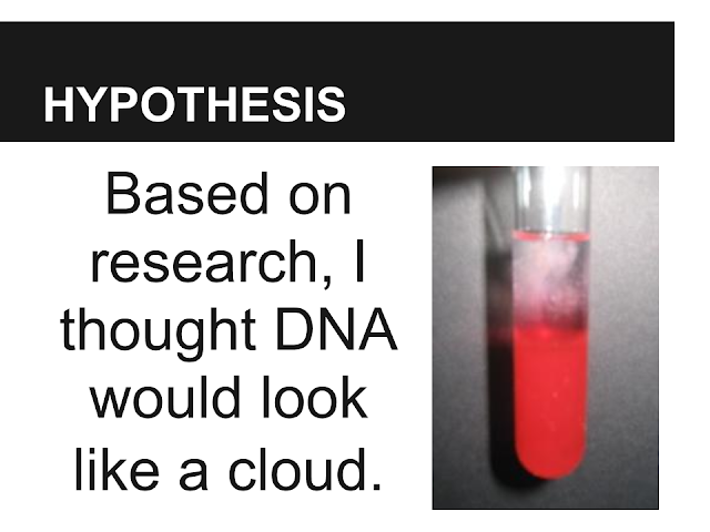 Alexander's Hypothesis