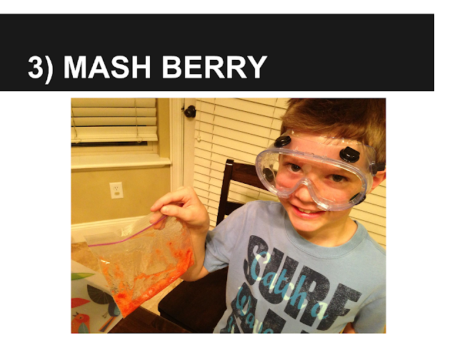 Alexander's Experiment - Mash Berry