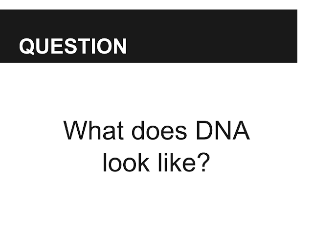 Alexander's Question