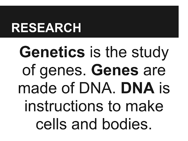Alexander's Research