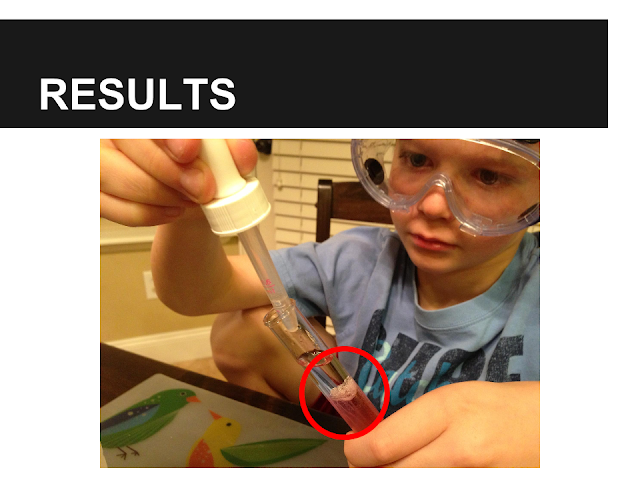 Alexander's Results Begin